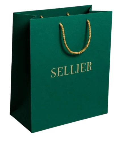 Luxury Branded Paper Bags Punjab
